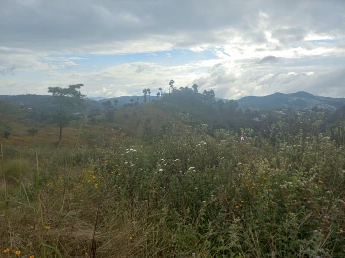 Terreno Comercial área San Pedro Ayampuc - 1