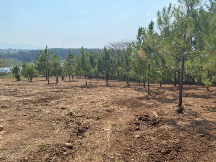 Terreno en Pre-venta en Laguna el Pino Guatemala - 1