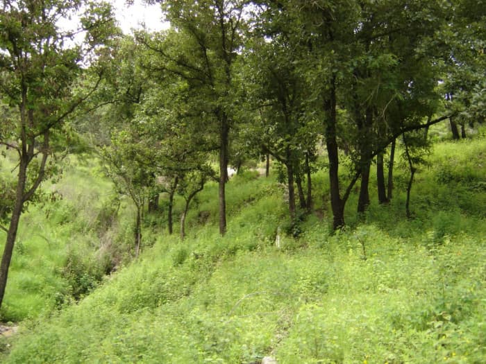 Terreno en Venta Aldea Agua Caliente El Progreso - 1