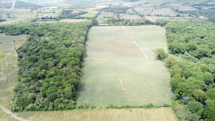 Finca de 17 Manzanas Planas en Venta en CAES Jocotillo - 1