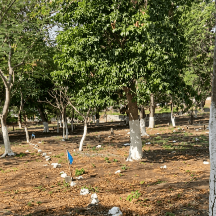 Terreno Residencial en Venta Cuilapa Santa Rosa - 1