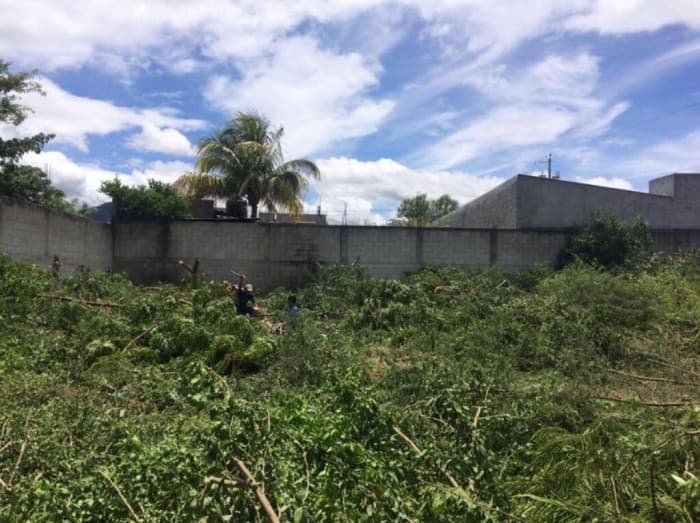 VENDO TRES LOTES EN CHIQUIMULA - 1
