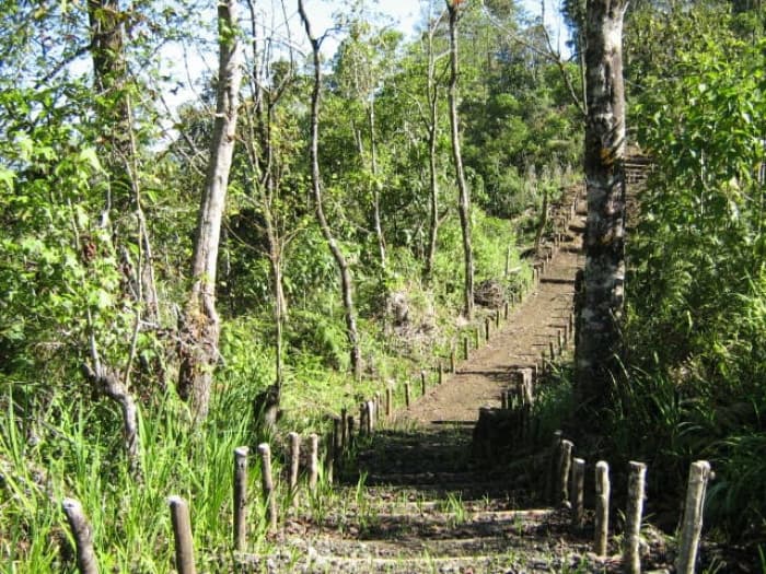 En Venta Finca San Juan Chamelco, Coban - 1