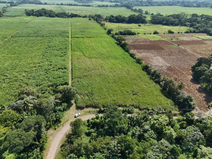 Finca en venta de 115,711.70 vrs. en Masagua, Escuintla - 1