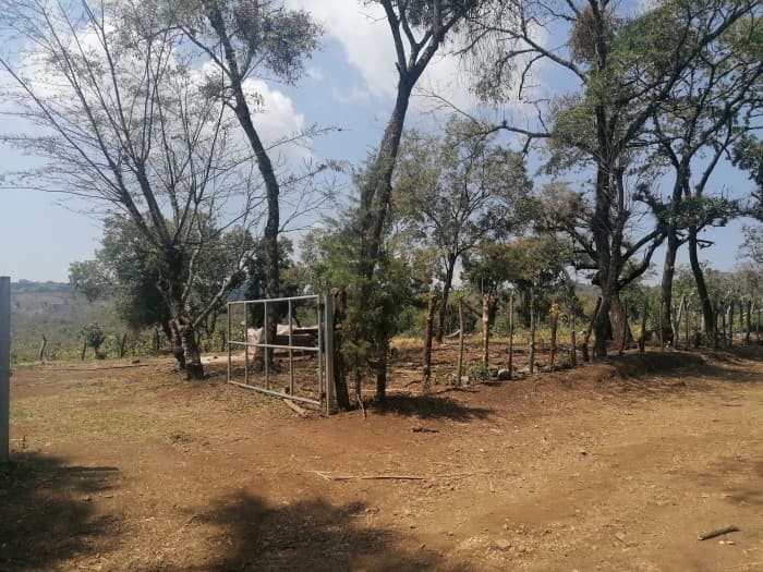 Vendo Terreno para desarrollo en Carretera El Salvador - 1