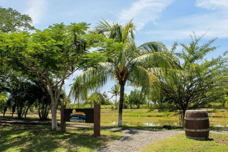 Terreno vacacional en venta en Monterrico - 1
