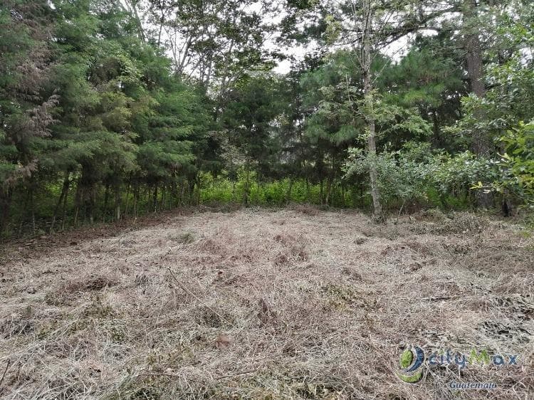 Terreno En Venta Los Horizontes Santo Domingo Xenacoj - 1