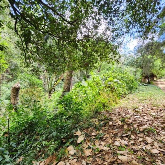 Terreno en Venta Santiago Sacatepéquez, Jardin El Alto - 1
