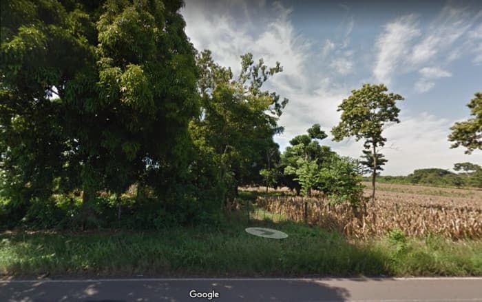 Terreno en alquiler KM 235 Aldea Las Palmas Coatepeque - 1