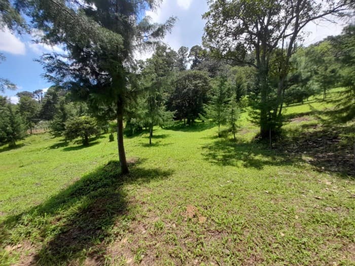 AMPLIO TERRENO EN VENTA A 5 MINUTOS DE SAN LUCAS - 1
