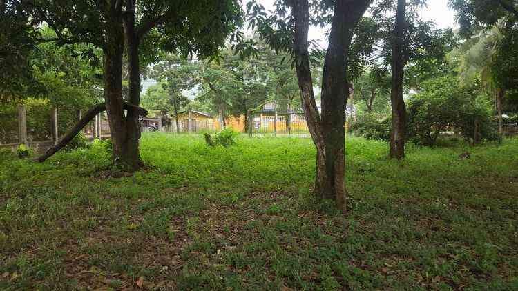 TERRENO EN VENTA EL ESTOR IZABAL - 1