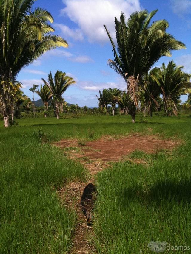 Vendo Terreno en Izabal!! - 1