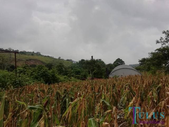 Terreno en venta en Barberena Santa Rosa - 1
