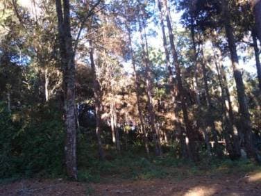 Terreno en Venta en Granjas Praderas del Bambú 2 - 1