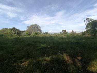 Terreno en Venta Sobre la Carretera a Fraijanes - 1