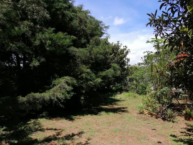 VENDO TERRENO DE 22.50 MTS. DE FRENTE POR 22.MTS. DE FONDO, LO DE DIEGUEZ FRAIJANES. - 1