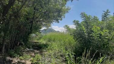 Terreno Comercial en Alquiler KM 22.5 Al Atlántico - 1
