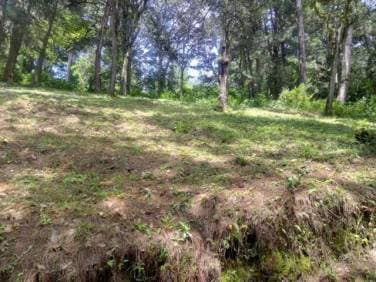 Terreno en Venta En Carretera a El Manzanillo San Lucas - 1