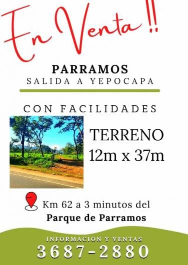 Vive a orilla de carretera, km 62 Parramos - 1