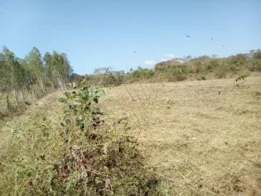 Terreno en Venta - 1