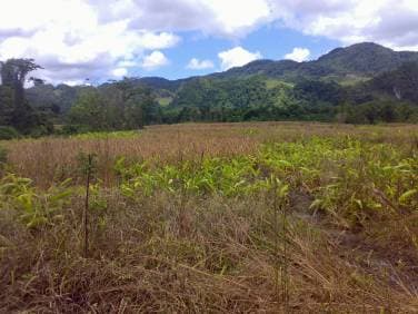 Comprar Finca Chisec Sepalau - 1