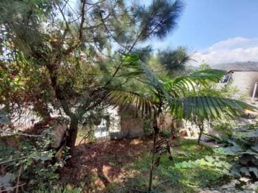 TERRENO EN VENTA SOBRE RUTA NACIONAL 14, CIUDAD VIEJA - 1