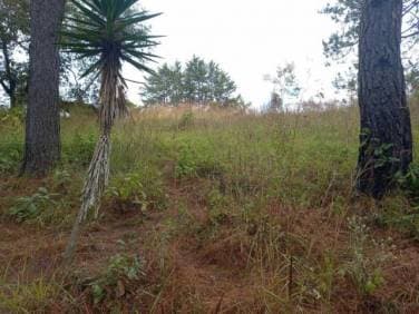 Terreno Residencial en Venta San Juan Sacatepéquez - 1
