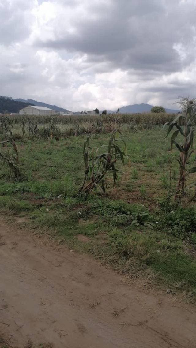 Terreno en Venta Quetzaltenango, La Esperanza - 1