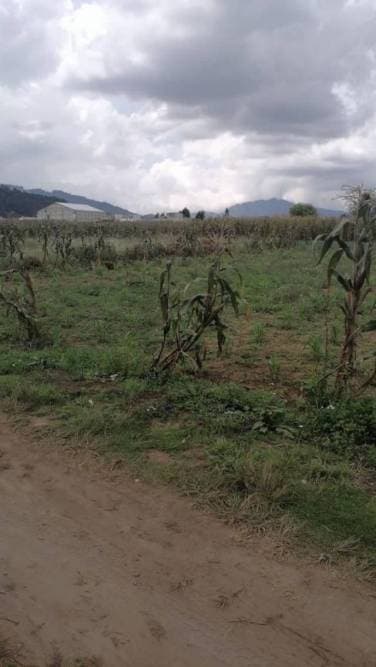 Terreno en Venta Quetzaltenango, La Esperanza - 1