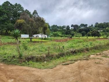 Terreno Residencial en Venta KM 34 Carr. Interamericana - 1