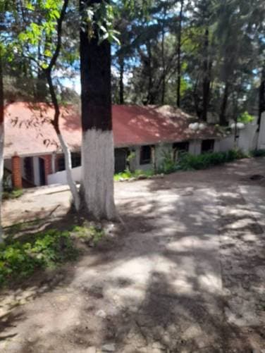 SE RENTA CASA EN SAN LUCAS, IDEAL PARA NEGOCIO - 1