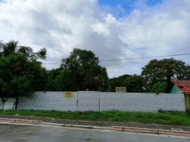 SE VENDE GRAN TERRENO, ENTRADA AL AEROPUERTO DE PUERTO BARRIOS, IZABAL. - 1