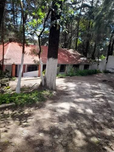RENTO CASA EN SAN LUCAS IDEAL PARA NEGOCIO KM 31 - 1