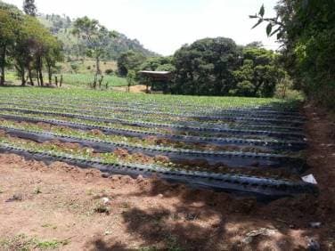 VENDO TERRENO EN SUMPANGO, SACATEPEQUEZ - 1