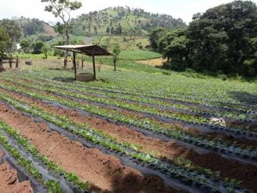 Vendo terreno en sumpango - 1
