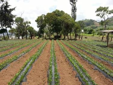 VENDO TERRENO EN SUMPANGO SACATEPEQUEZ. EL TRIGAL V - 1