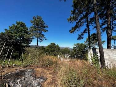 VENDO TERRENO EN SUMPANGO - 1