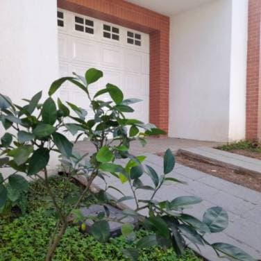 Casa en Renta en Hacienda de las Flores, Villa Nueva - 1