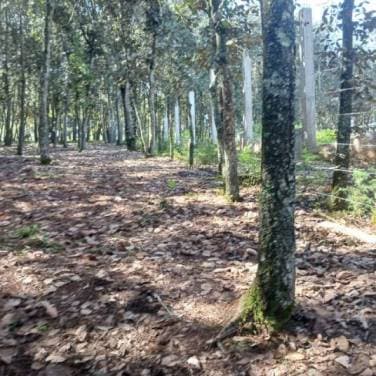 Terreno Residencial en Venta Sumpango, Sacatepéquez - 1
