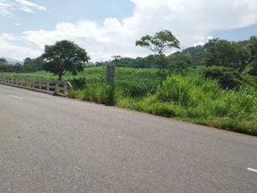 VENDO 6 MANZANAS ORILLA DE CARRETERA AL SALVADOR CON MUCHA VOCACION COMERCIAL CUILAPA SANTA ROSA - 1
