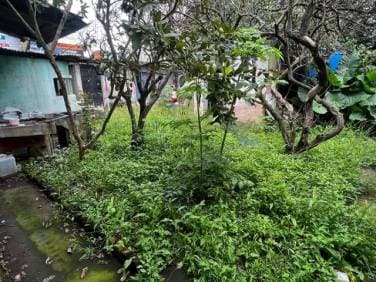 VENDO TERRENO CENTRICO EN CHIMALTENANGO - 1