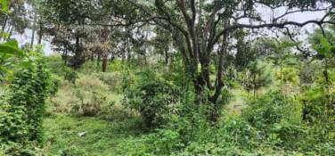 VENDO TERRENO EN RUTA INTERAMERICANA KM 39 - 1