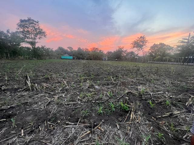 Terreno Agrícola en Venta Puerto San José Parcelamiento - 1