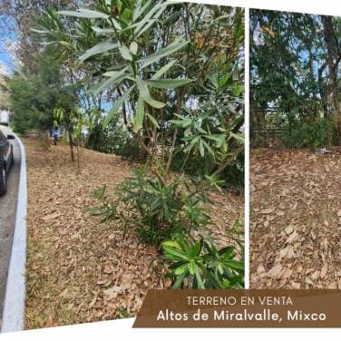 VENDO HERMOSO TERRENO EN CONDOMINIO ALTO DE MIRALVALLE. - 1