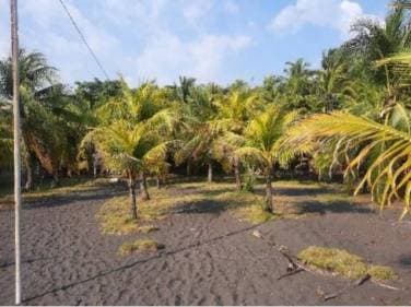 Cesión de Terreno Vacacional en OCRET Puerto San José - 1