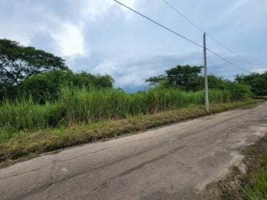 Terreno en Venta Quintas Malibu II KM 75 Pto. Quetzal - 1