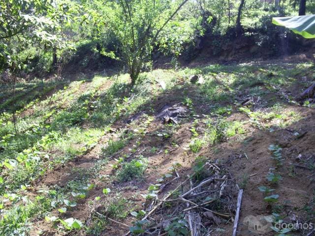 REMATO TERRENO EN SOLARES DEL TRIGAL 2 - 1