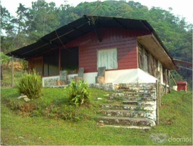 HERMOSA FINCA A 7 KILOMETROS DEL PARQUE CENTRAL DE COBAN - 1