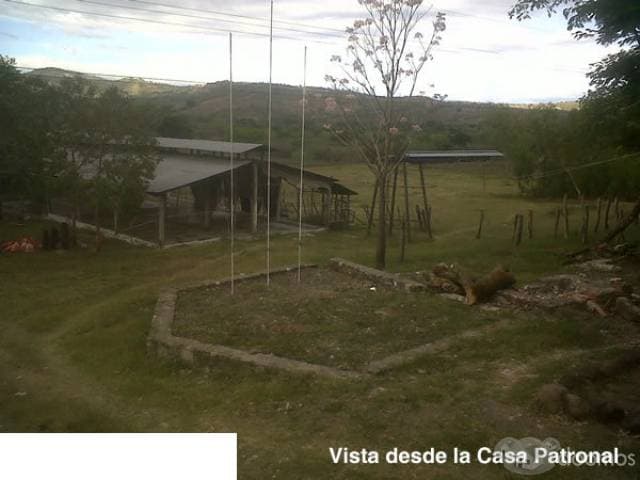 Finca de 36.7 manzanas con galeras avicolas y manzanas con sistema de riego para siembra - 1
