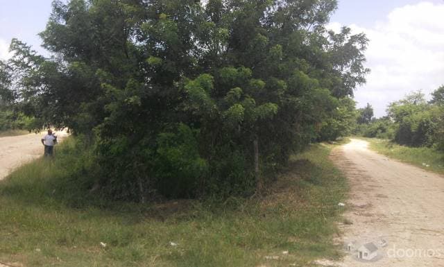TERRENO CON CALLE A AMBOS LADOS, SE ENCUENTRA EN LA RUTA QUE SIGUEN LOS TURISTAS HACIA LAS CUEVAS DE NAJ TUNICH. PUNTO PARA HABITARLO Y NEGOCIO - 1